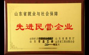 山东英才学院被授予山东省就业与社会保障先进民营企业