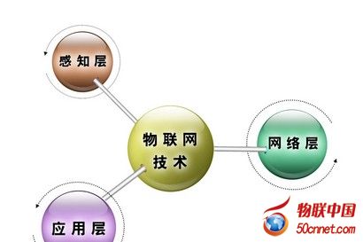 山东两民办院校新增物联网工程专业